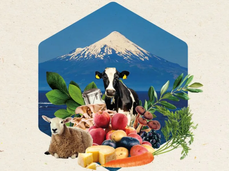 1er Encuentro Agrogastronómico 100K Lago Llanquihue se realizará hoy en el Restaurante Espantapájaros en Puerto Octay