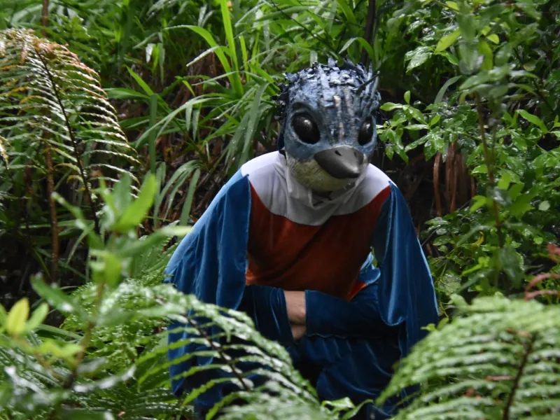 A pesar de la intensa lluvia: XI versión del Festival Carnaval del Sur  llenó de magia el Cerro Philippi en Puerto Varas