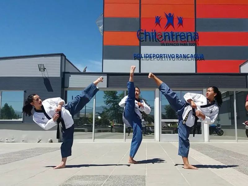 Academia local de Taekwondo In Nae obtiene 4 medallas de oro en “Copa de Campeones” en Bariloche