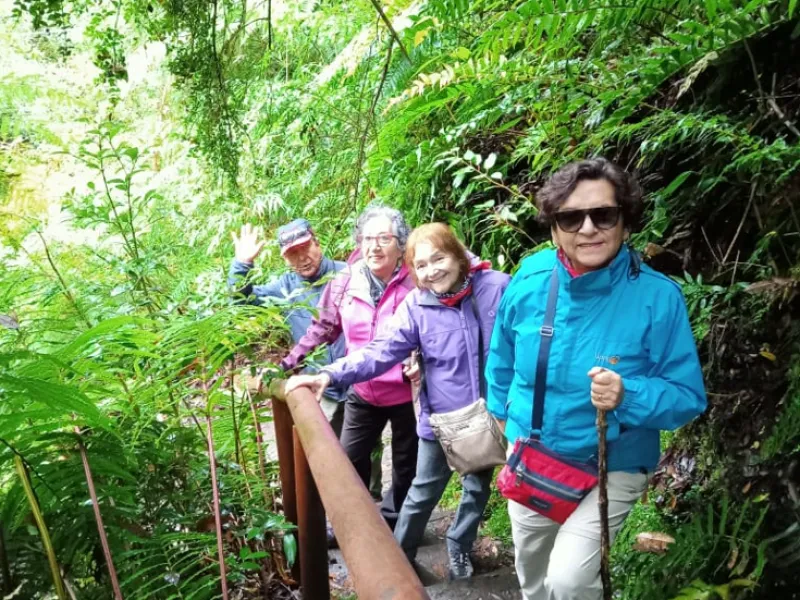 Adultos mayores de Puerto Varas reciben “baños de Bosque” en Parque Nacional Puyehue