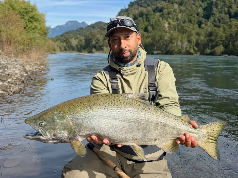 Anuncian peak de temporada de pesca recreativa del salmón Chinook en el Río Petrohué