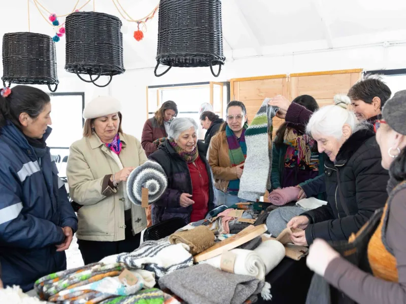 Artesanas de Los Lagos y Aysén compartieron saberes y experiencias en torno al tejido en lana y la cerámica