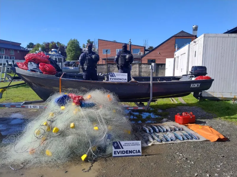 Autoridad Marítima detecta más de 25 kilos de salmón extraído ilegalmente en el lago Llanquihue