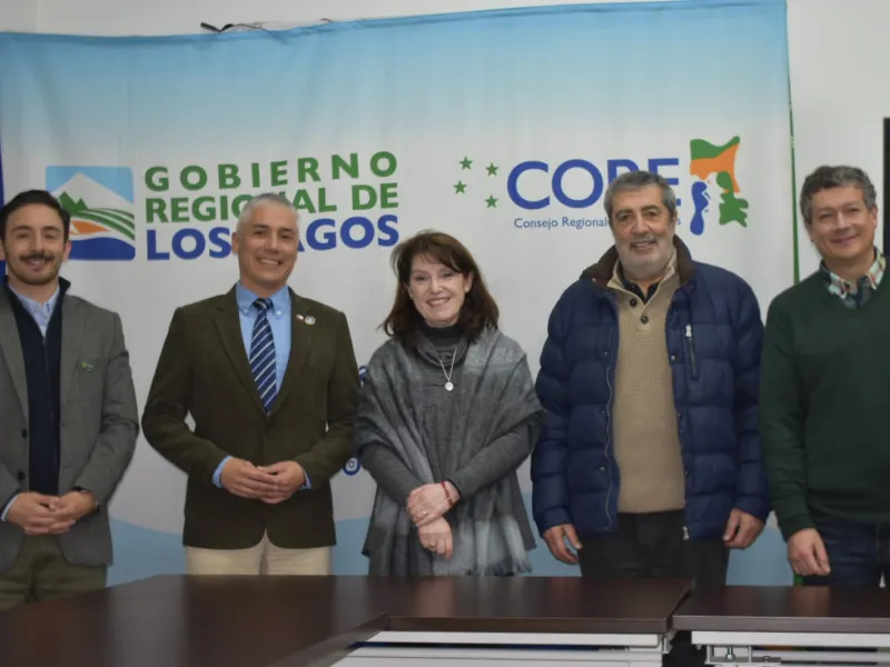 Avanza trabajo conjunto con actores del sector  para impulsar el Día Nacional de la Papa en Chile