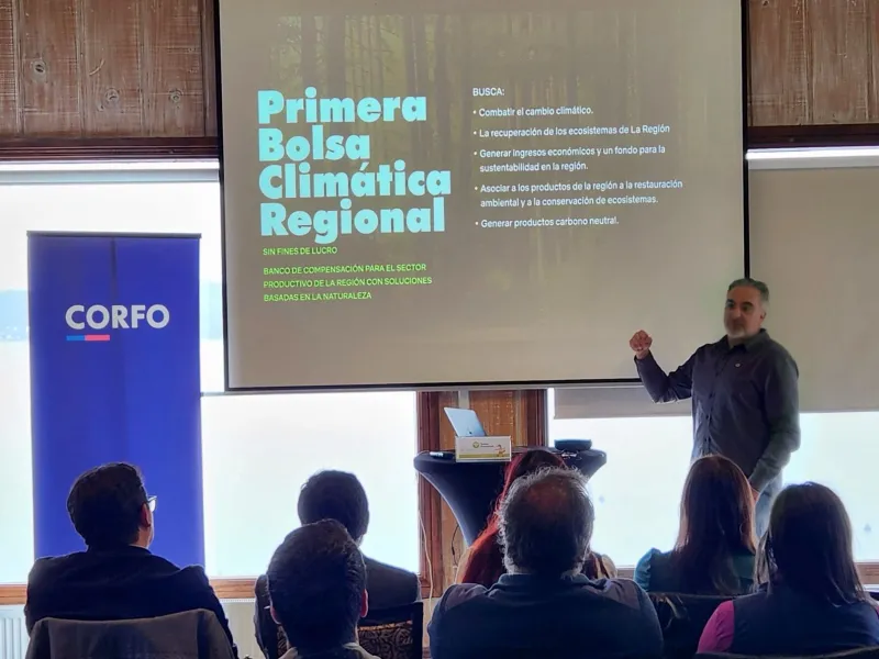 Bolsa Climática Regenerativa: Los Lagos avanza hacia un modelo regional de compensación de emisiones con impacto global y arraigo territorial