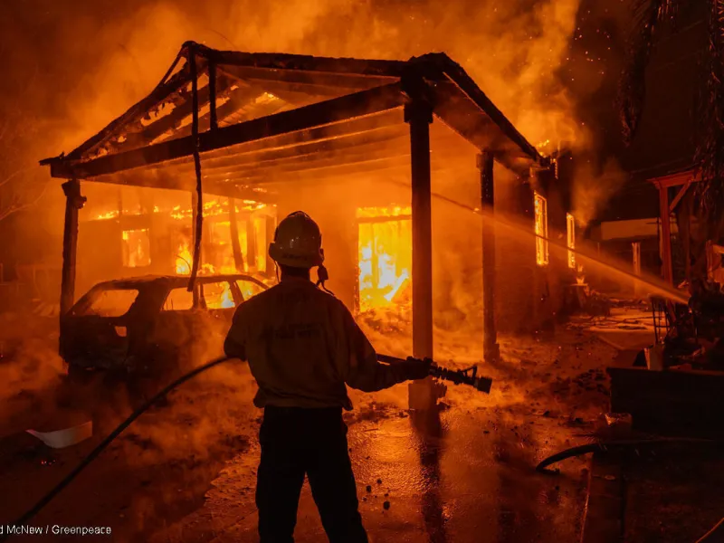 #ChileSinCenizas: Greenpeace lanza petición ciudadana para  exigir al Congreso la aprobación de la ley de incendios