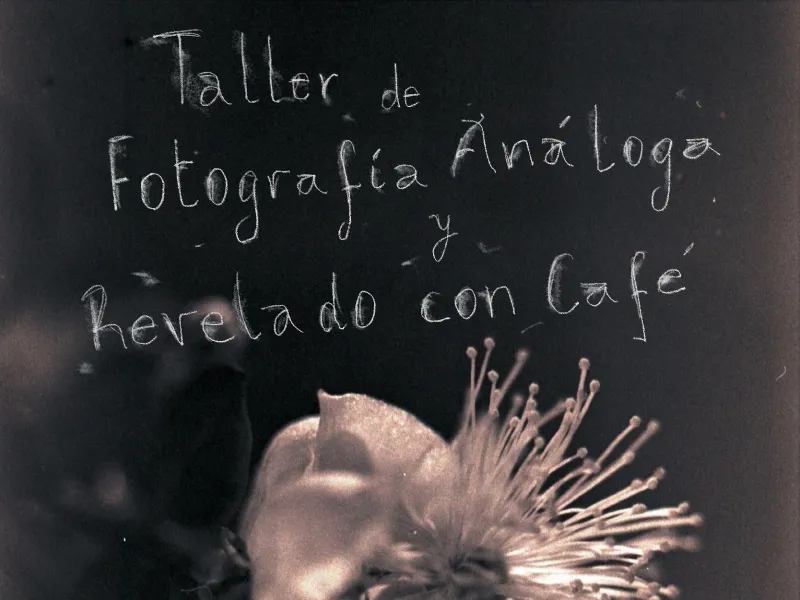 Cineastas invitan a Taller de Fotografía Análoga en Puerto Varas
