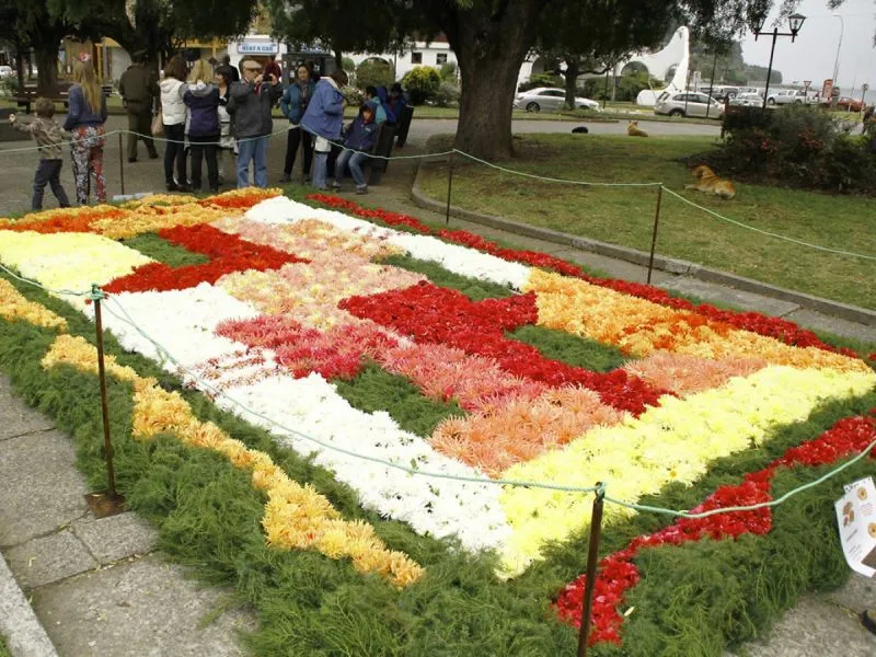 Club de Jardines de Puerto Varas celebra su 50° Aniversario con muestra floral “Momentos Especiales”