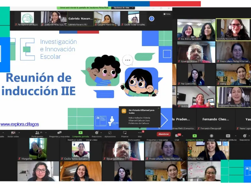 Colegio Mirador del Lago participará de Programa de Investigación e Innovación Escolar