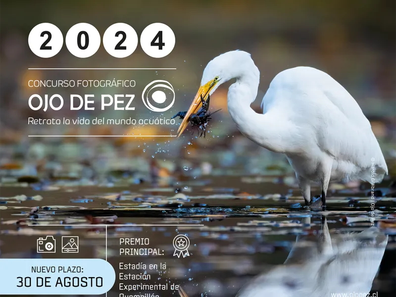 Concurso fotográfico “Ojo de pez” extiende convocatoria hasta el 30 de agosto