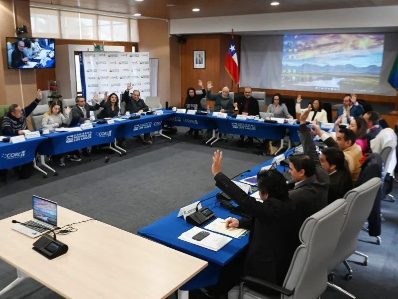 Consejeros aprobaron nuevo fondo destinado a la inclusión neurodivergente en la región de Los Lagos
