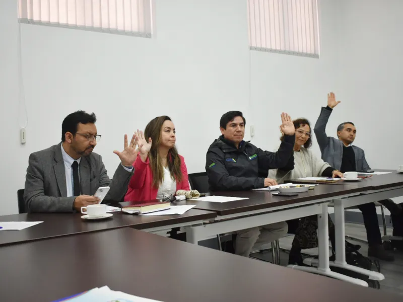Consejo Regional de Los Lagos aprueba ayudas técnicas para Fundación Las Rosas