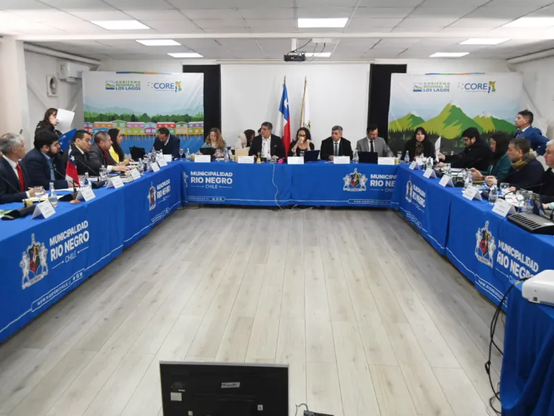 Consejo Regional de Los Lagos aprueba recursos del Fondo Regional de Desarrollo Local para programas de Fomento Productivo en municipios