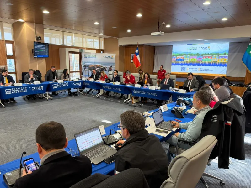Consejo Regional solicita al MOP socializar nueva concesión de la Ruta 5 entre Río Bueno y Puerto Montt