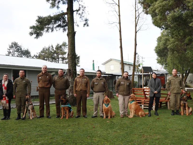[VIDEO] Delegada Presidencial Regional de Los Lagos reconoce aporte a la seguridad de binomios caninos de Carabineros de Chile