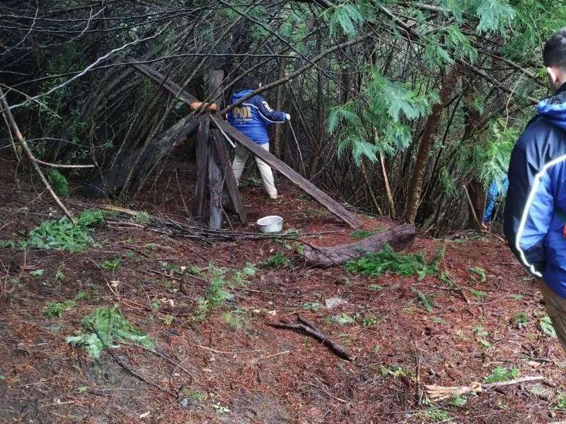 Descartan ataque de puma en el fallecimiento de adulta mayor en sector de Petrohué