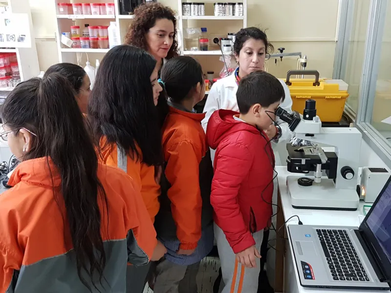 Día de la Ciencia se celebra este domingo en Puerto Montt