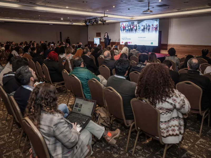 En Puerto Varas discutirán sobre el futuro energético del sur de Chile