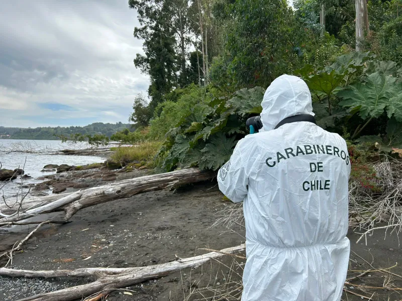 Encuentran cadáver en playa de Frutillar Bajo