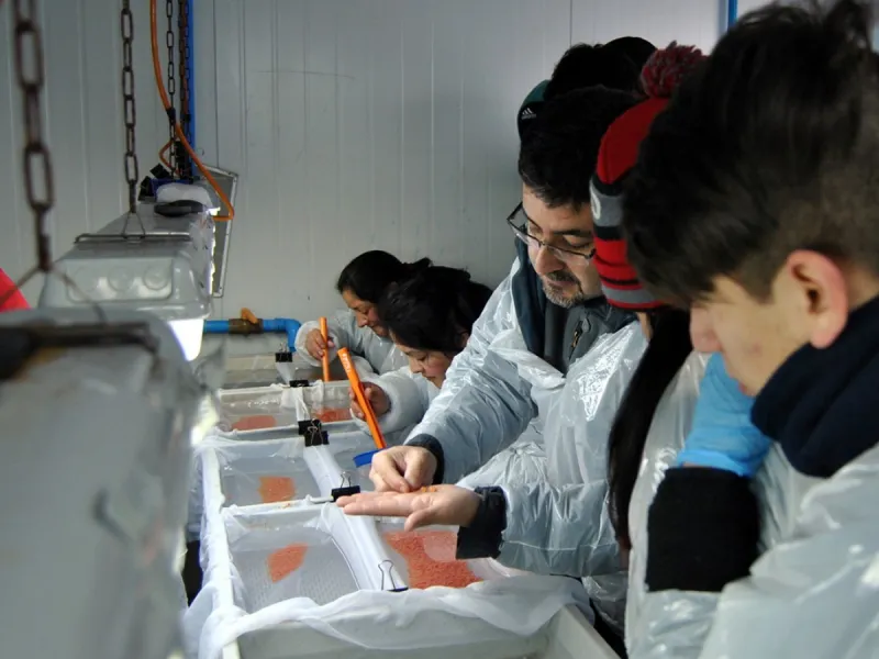 Estudiantes visitan Piscicultura de Salmones Camanchaca en Ensenada
