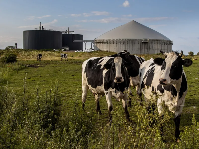Expertos analizan rentabilidad de Biogás en PuertoVaras  