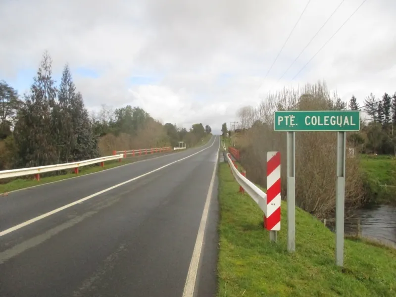 Fallas estructurales en Puente Colegual de ruta Nueva Braunau-Cañitas obligó a suspender tránsito mientras se instala puente mecano