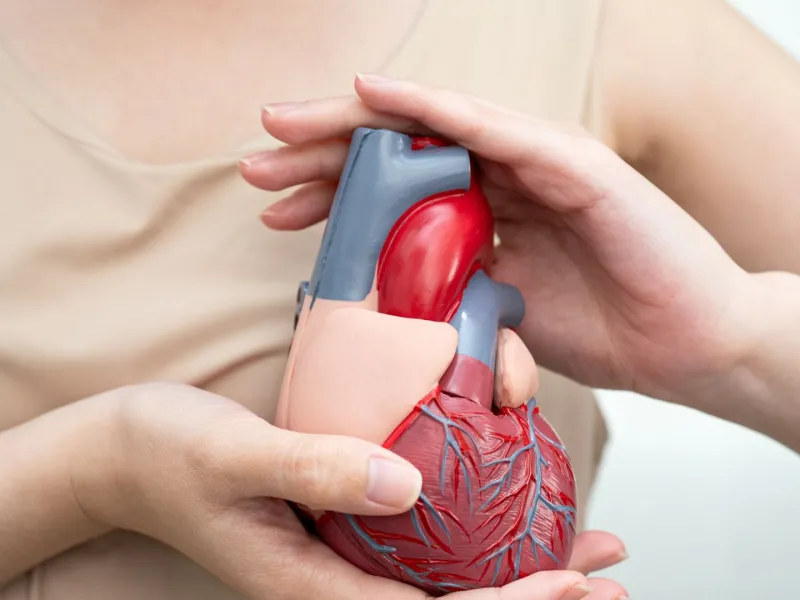 Fatiga, dolor abdominal o ahogo: las señales invisibles del infarto en mujeres