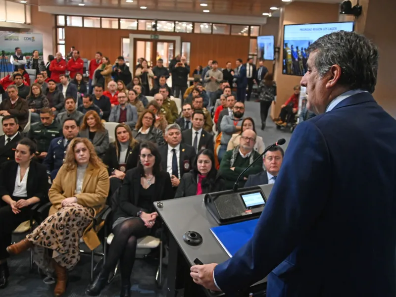 Gobierno Regional presentó Plan Estratégico de Seguridad Pública y Protección Civil para la Región de Los Lagos