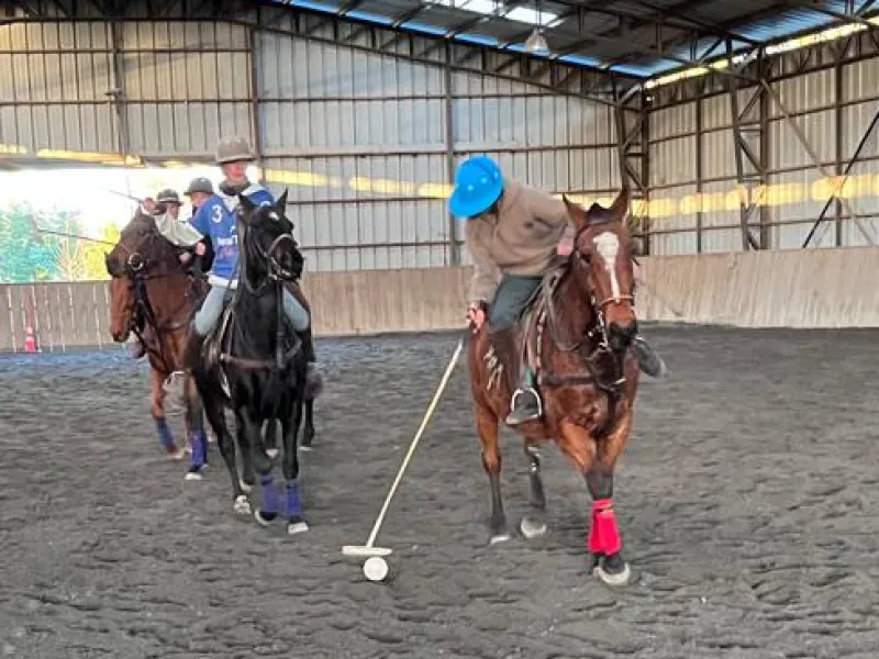 Gran jornada de polo indoor en Puerto Varas: Las Delicias se coronó campeón de la Copa Go Capital
