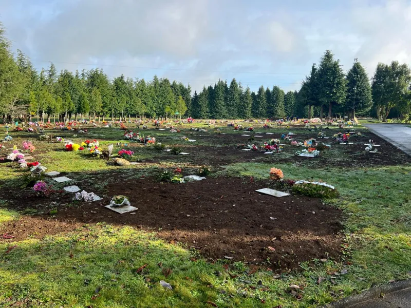 Gusano Blanco ataca no solo el Cementerio Parque Municipal Puerto Varas sino las praderas del sur de Chile