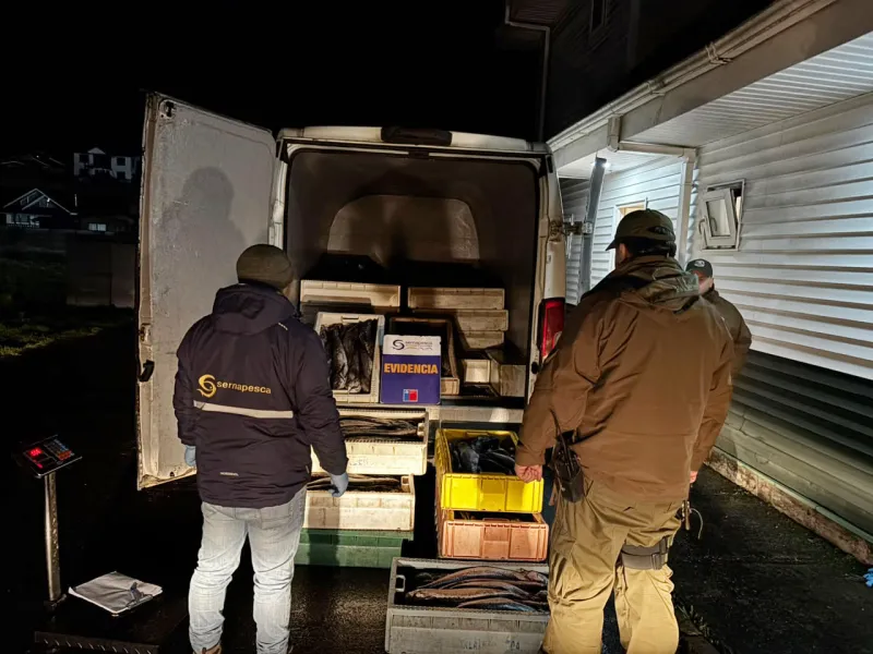 Incautan 2,86 toneladas de pescados en control vehicular en Pargua