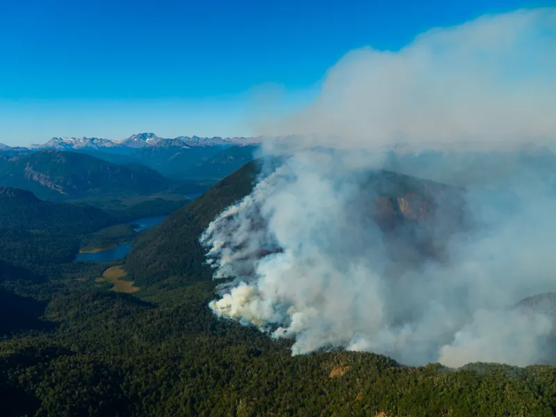 Incendio Forestal en Paso el León se mantiene controlado con cuatro helicópteros