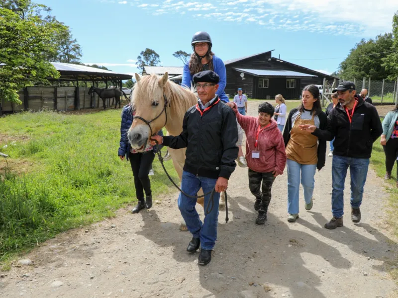 Incorporan la equinoterapia como terapia complementaria en Cochamó