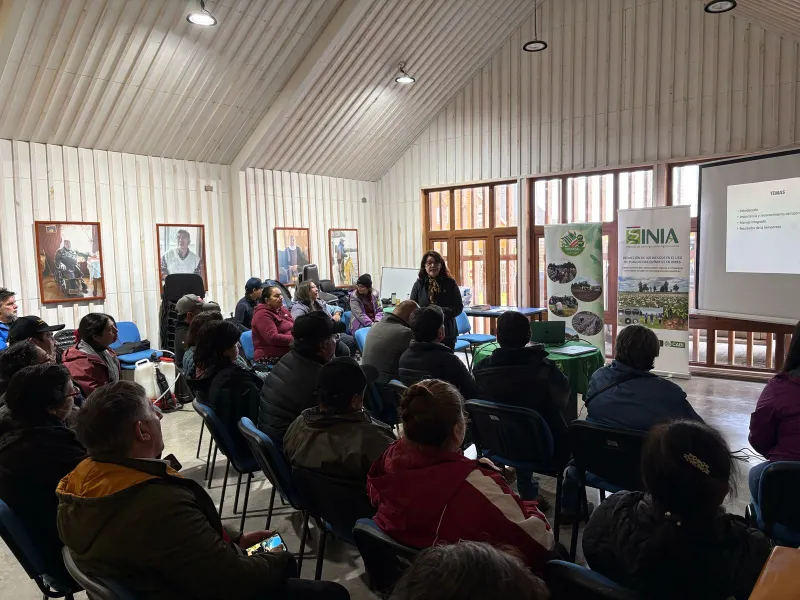 INIA desarrolla talleres técnicos en Chiloé para reducir el uso de plaguicidas químicos en el cultivo de papa