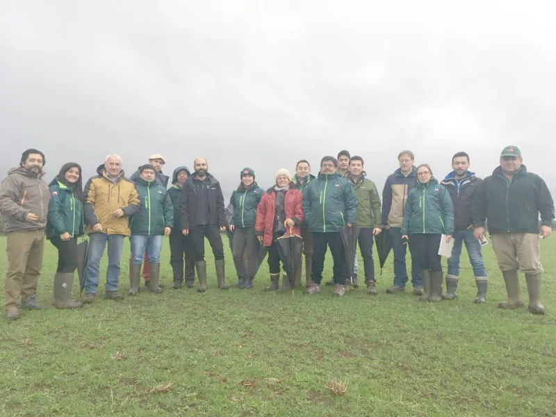 INIA dicta taller de Identificación de especies forrajeras utilizadas en el sur de Chile