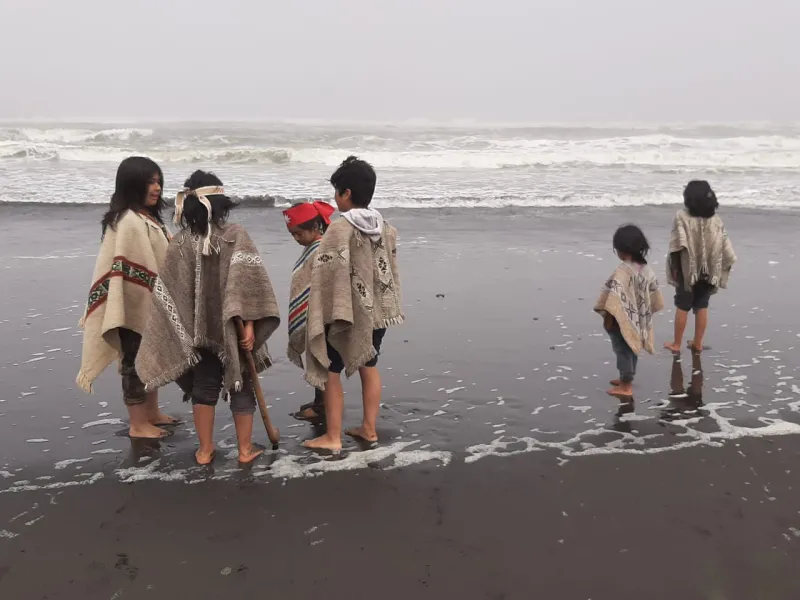 La 18ª Muestra Cine+Video comienza su itinerancia nacional en la ciudad de Puerto Varas