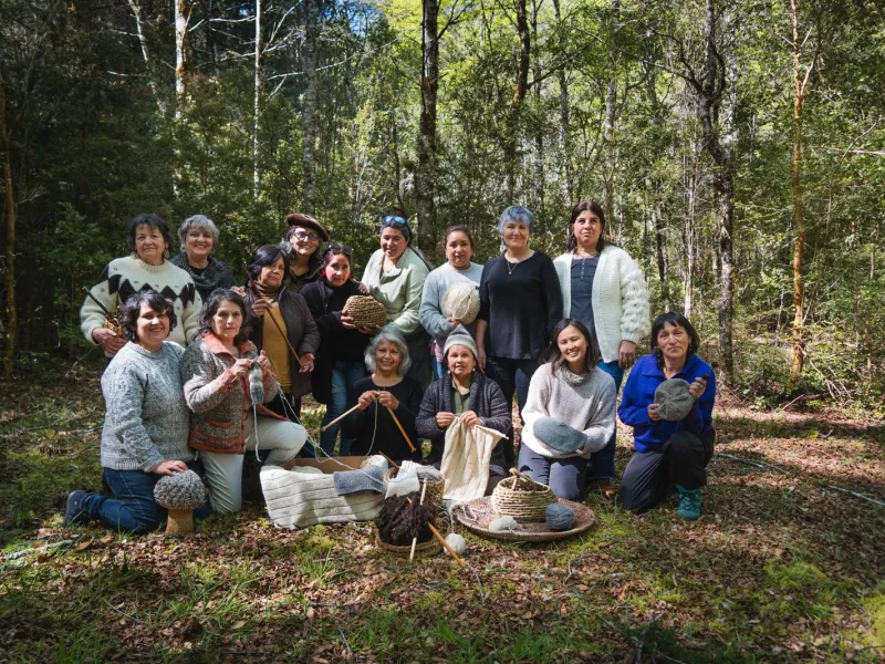 Lanzan colección de tejidos inspirada en la biodiversidad del Parque Nacional Alerce Andino