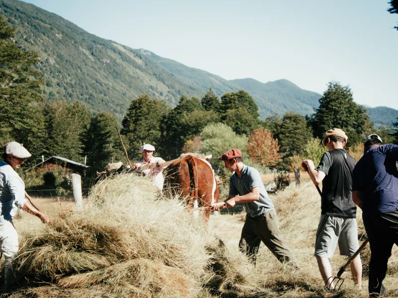 Lanzan quinta versión del Voluntariado Cordillera Puelo Patagonia
