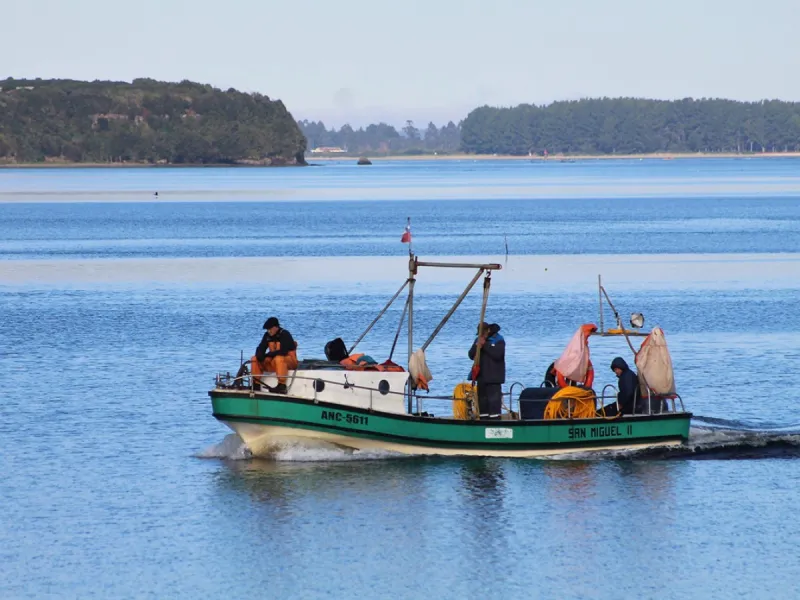 Llaman a hijos e hijas de pescadores artesanales de la Región de Los Lagos a postular a becas de estudio