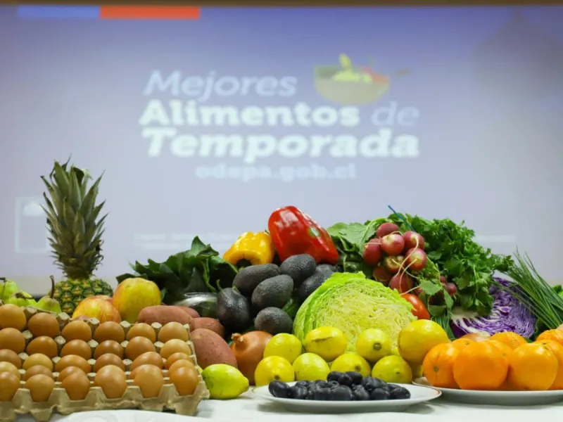 Ministerio de Agricultura refuerza programa “Mejores Alimentos de Temporada” -MAT- e incorpora a la Región de Los Lagos en monitoreo 