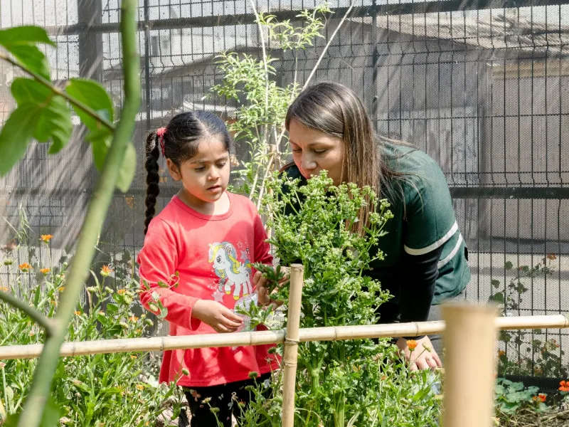 Para formar a niños y niñas con conciencia ambiental, social y cultural: abierta convocatoria al Premio “Mi Patio es el Mundo 2025”