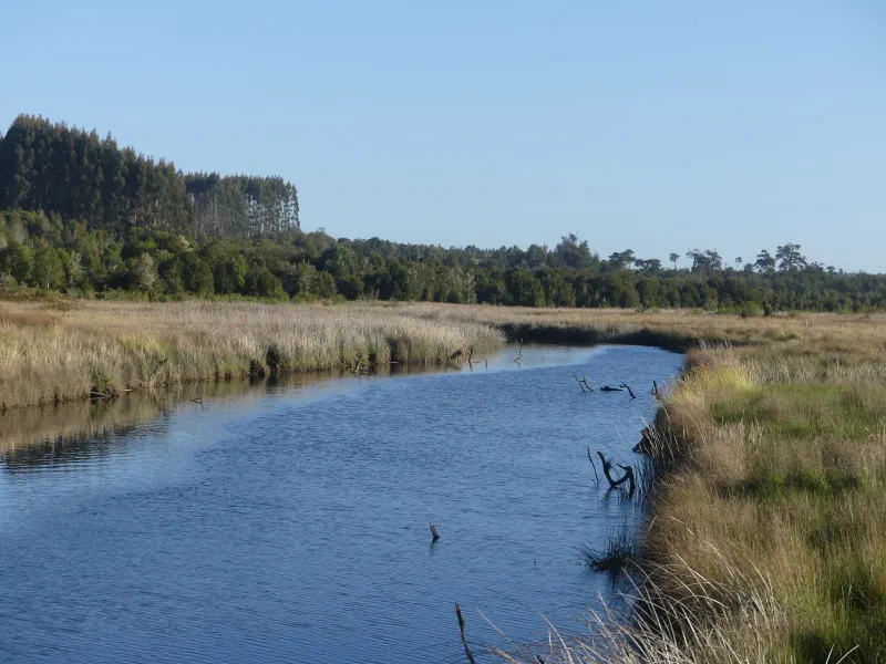 Invitan a participar en la consulta pública del Plan Estratégico de Recursos Hídricos de la Cuenca del Río Maullín