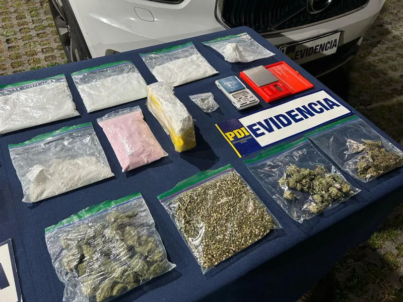 PDI desarticuló banda criminal por microtráfico: allanan inmuebles en  Puerto Varas y Puerto Montt