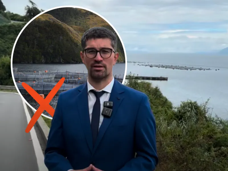 Por falta de quórum: suspenden reunión que buscaba tratar la salida de salmoneras del Lago Llanquihue