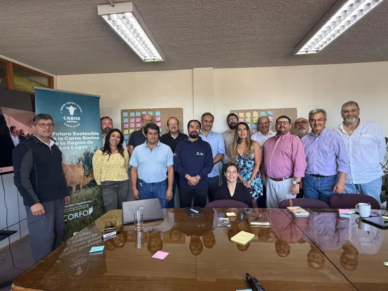PTI de la Carne Bovina Los Lagos fortalece su gobernanza y proyecta el trabajo conjunto del sector ganadero