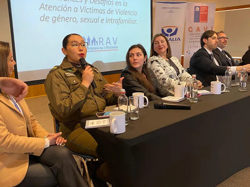 Puerto Varas crea programa municipal pionero para prevenir y enfrentar la violencia intrafamiliar