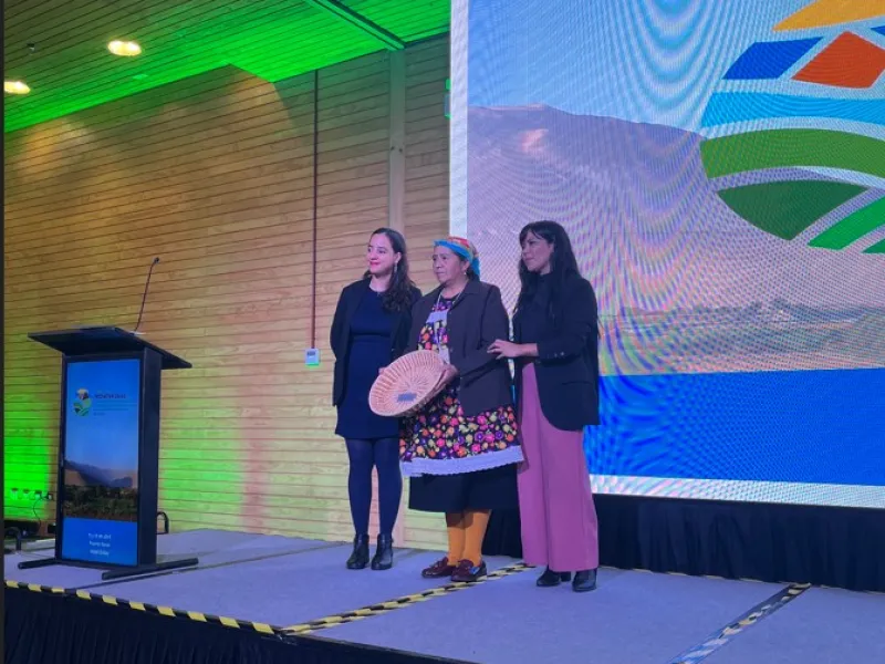 En Puerto Varas: Por primera vez Iniciativa 20X20 entregó premio “Lideresa de la Restauración 2025”