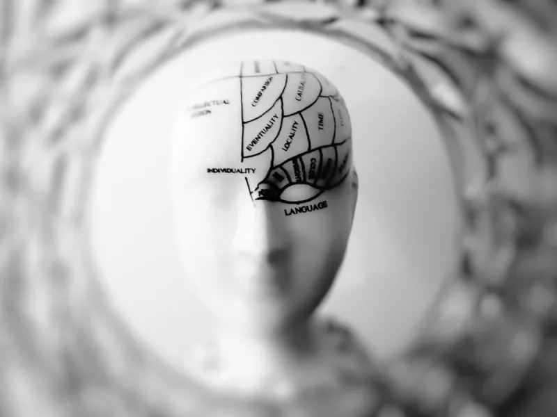 ¿Qué son los neuromitos y por qué creemos en ellos? 