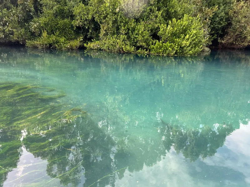 [VIDEO] Río Maullín bajo asedio: denuncian constante contaminación de este Santuario de la Naturaleza