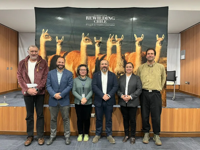 Seminario de rewilding convoca a expertos y autoridades en la Región de Los Lagos
